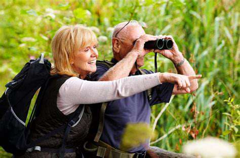 Guide to Birdwatching for Beginners