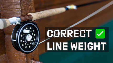 How to Choose the Right Fishing Rod