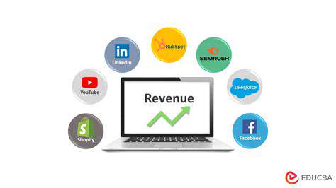 NavigatingtheMarket:OnlinePlatformsandLocalDealers