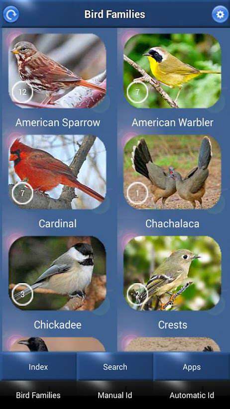 Guide to Bird Identification Apps