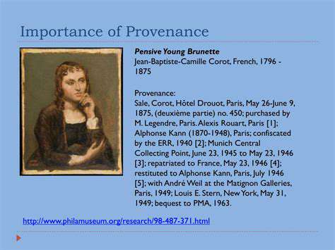 AnalyzingtheSupportingDocumentation:TheImportanceofProvenance