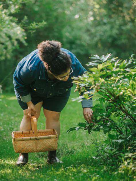 BeyondtheBasics:AdditionalTipsforSafeForaging